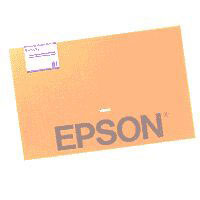 Epson B1 Posterboard - semigloss (C13S041236)
